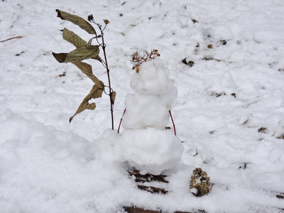 森林中破树上的小雪人