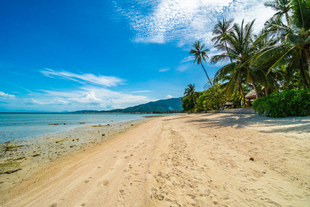 美丽的热带海滩，大海和沙滩，蓝天和白云上有椰子棕榈树，供旅行和度假使用