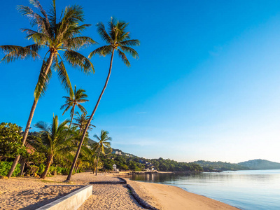 美丽的热带海滩和带椰子棕榈树的大海，供旅行和度假