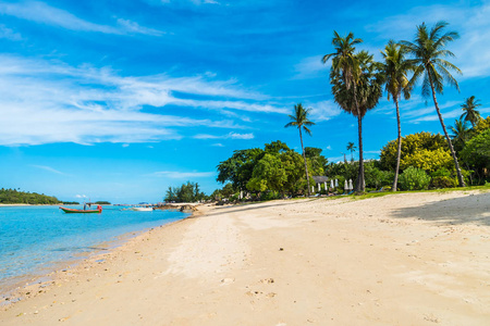 美丽的热带海滩，大海和沙滩，蓝天和白云上有椰子棕榈树，供旅行和度假使用