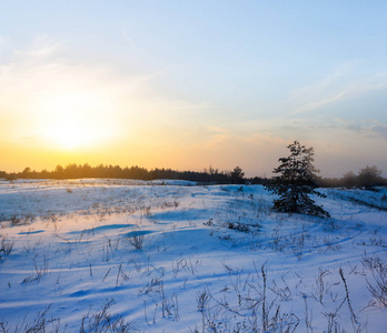 日落时，冬天白雪皑皑的草原