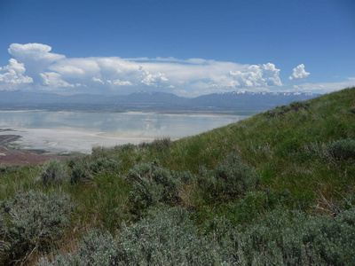 在犹他州的大盐湖上，可以看到美丽的自然景观和晴朗的天空