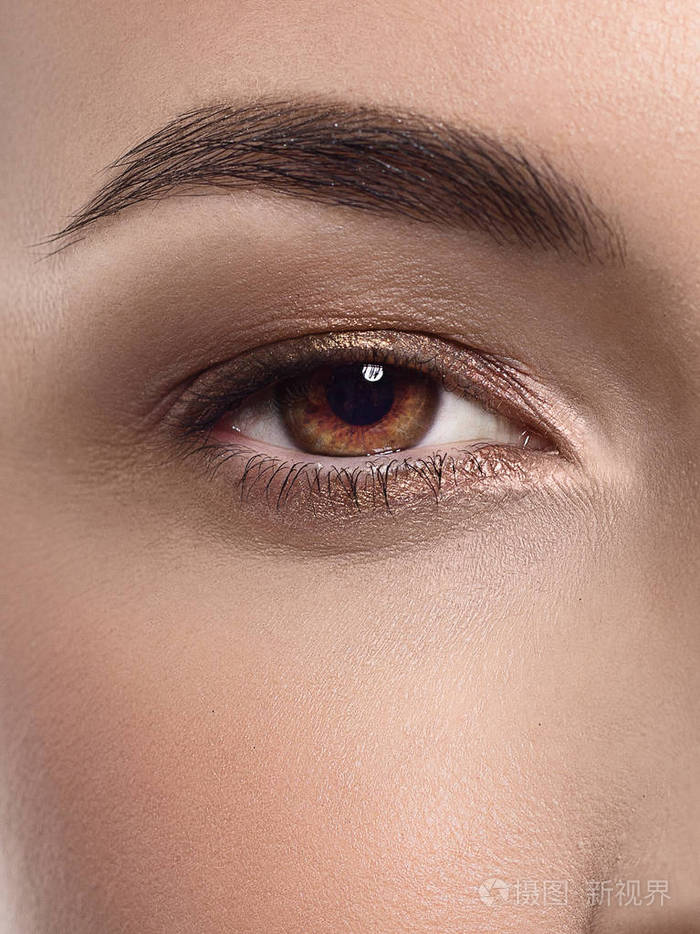 完美的造型的眉毛 棕色眼影和长长的睫毛.化妆品和化妆.