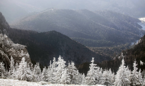 圣诞节和新年背景，山上有冬天的树，覆盖着新鲜的雪魔法节日背景