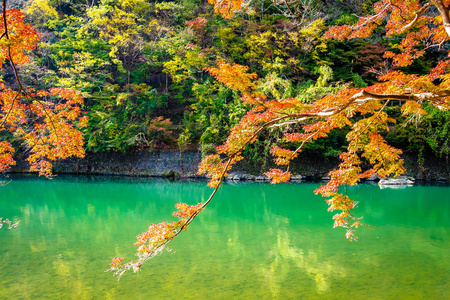 秋季日本京都，美丽的山河，有枫叶树和船绕湖而行