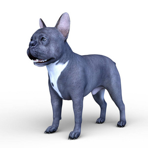 狗的三维建模图片