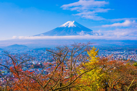 日本大林秋季枫叶树四周美丽的富士山景观，白云蓝天