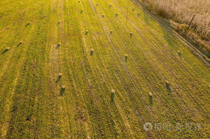 空中无人机照片干草卷捆在麦田在下午晚些时候的灯光