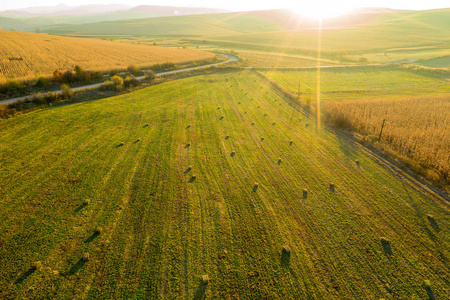 空中无人机照片干草卷捆在麦田在下午晚些时候的灯光
