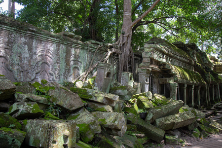 柬埔寨吴哥窟塔普罗姆。 柬埔寨吴哥窟塔普罗姆古寺，丛林树木的根与这些古老结构的砖石交织在一起，产生了超现实的世界。