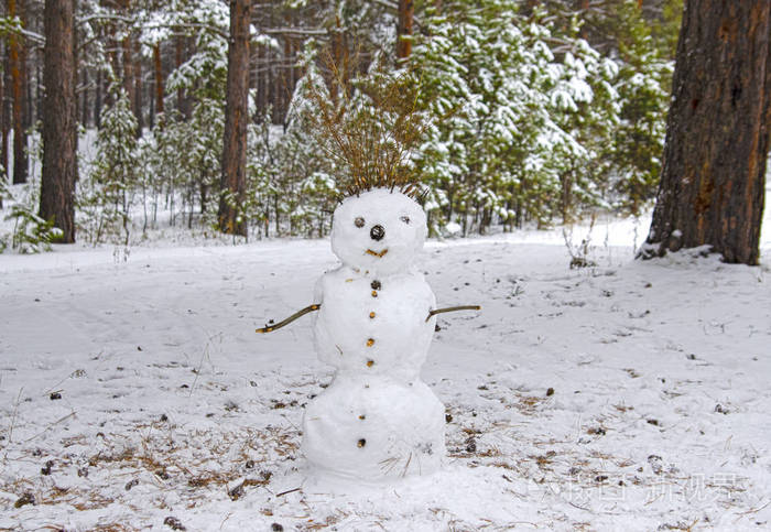 寂寞微笑的雪人站在森林里