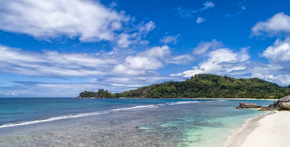 热带海滩，海和棕榈取自无人机。 海滩和海景照片。 浪漫的海滩鸟瞰。