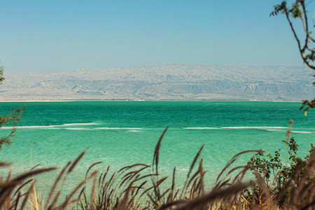 美丽的照片海岸的死海，以色列。