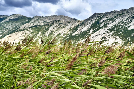 美丽的景观与石岩山的锡比尼湖RUSibinskiyeOzoraSadyrkol，Tortkara，Shalkar，Korz