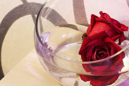 玻璃花瓶里的玫瑰