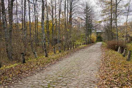 一条古老的铺面公路, 秋天的树叶覆盖着黄色的叶子