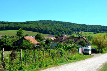 罗马尼亚特兰西瓦尼亚平原的典型乡村景观。 阳光明媚的仲夏的绿色景观