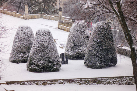 在贝尔格莱德的雪下公园注浅的景深