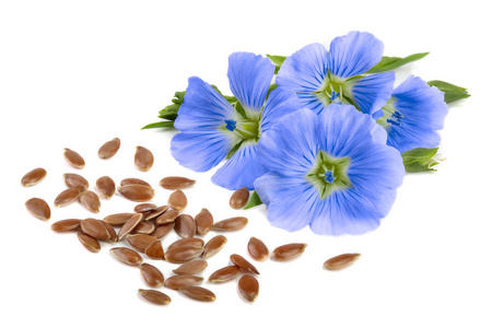 维生素亚麻籽图片-维生素亚麻籽素材-维生素亚麻籽插画-摄图新视界