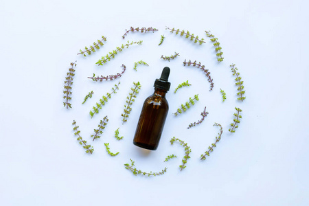 白色背景上含有精油的干桉树种子 相似素材图片 摄图新视界