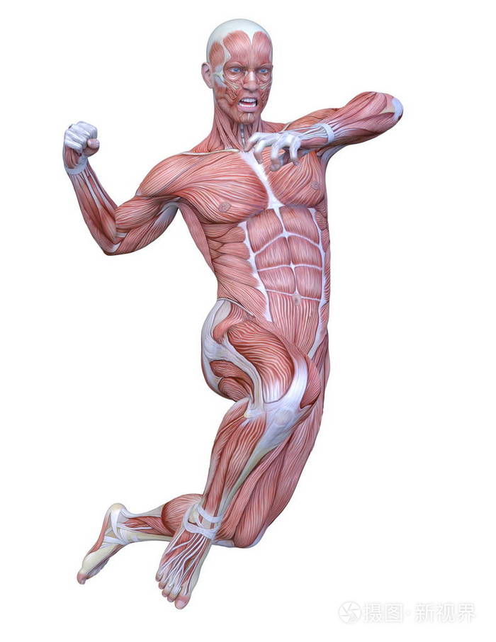 肌肉人的三维cg渲染