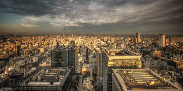 东京天空树日本城市景观