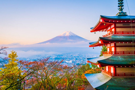 日本大林秋季枫叶树旁有翠藤宝塔的富士山美景