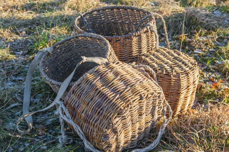 在秋草上手工制作的 wicker 篮子。俄罗斯