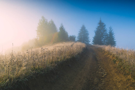 阳光明媚的雾蒙蒙的早晨。 秋山谷。 喀尔巴阡山脉乌克兰欧洲。