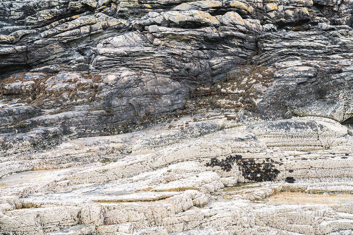 苏格兰英国雪橇海滩点的岩层。