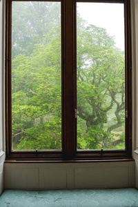 从老窗的树木和雾中可以看到外面阴郁的景象。