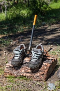 旅游鞋干在木头上，斧头被困在阿尔泰俄罗斯