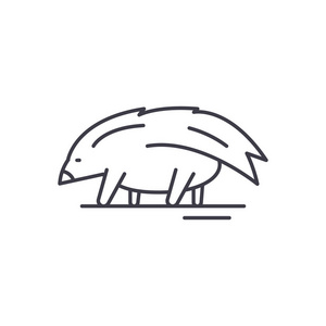 豪猪向量线性图示符号照片