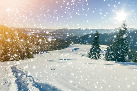 童话冬季景观。 山坡上有雪和霜的松树，在蓝天上被明亮的阳光照亮，飘落的雪花复制了空间背景。 新年快乐，圣诞贺卡快乐。