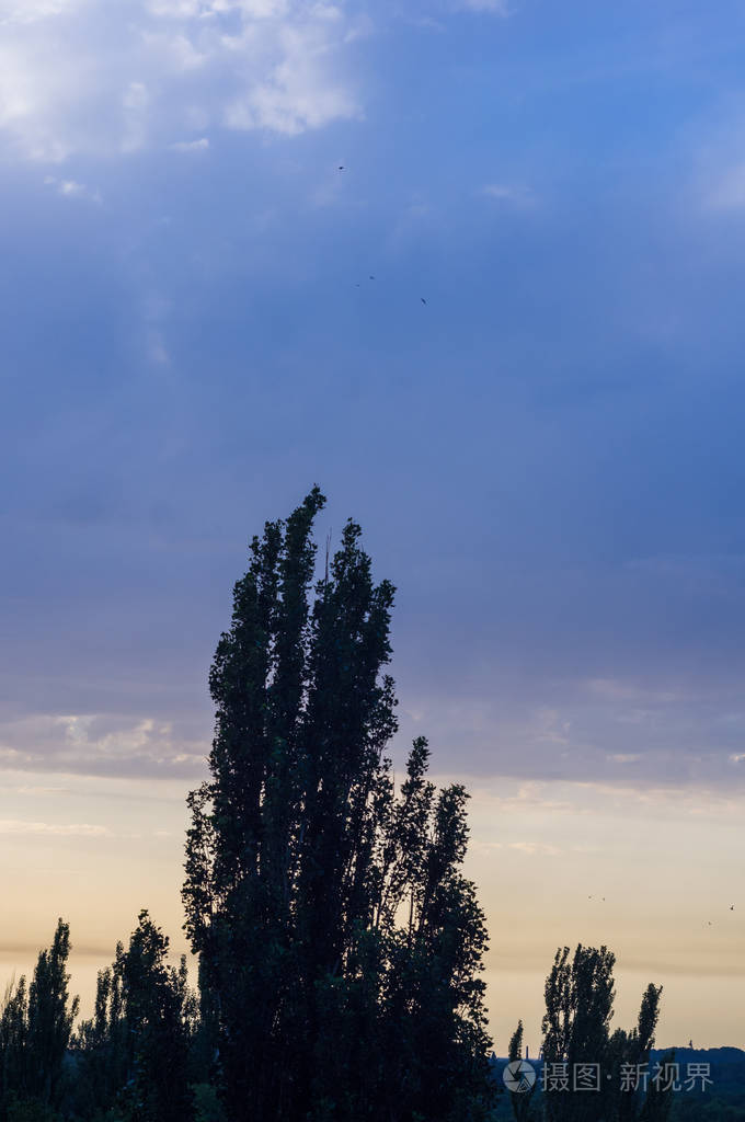 美丽的金色日落,饱和的天空和云彩,宁静的自然,宁静的背景