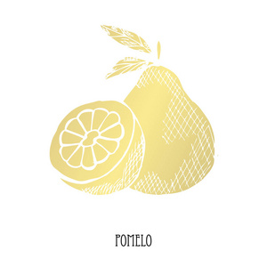 手绘金色柚子设计元素.