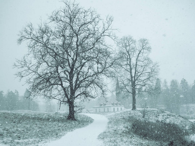 美丽的冬季风景与降雪。冬季公园