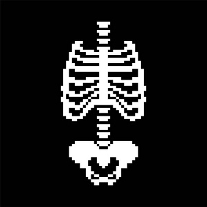 骨骼解剖8位.像素人类骨架系统16位.旧游戏电脑图形风格照片