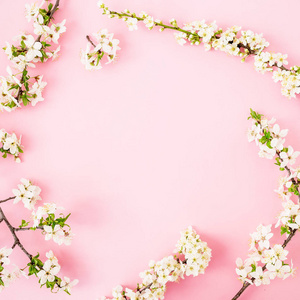 花架与白色春花隔离在粉红色背景。平躺，俯视。春天的概念。
