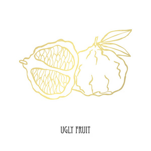 食物主题.黄金水果照片