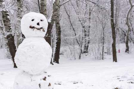 雪的雕塑..奇怪而可怕的雪人。冬天在户外玩。一家人在森林里过冬。雪人的微笑和鼻子。寒假。寒冷的天气。公园里的雪人。
