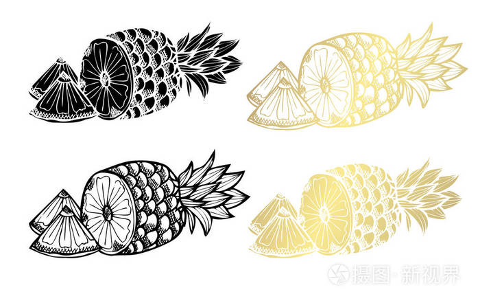 手绘菠萝设计元素。 可用于卡片邀请，剪贴簿，印刷面料，制造食品主题。 金黄的果实