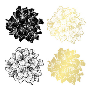 装饰夹竹桃花卉设计元素。 可用于卡片邀请横幅海报印刷设计。 金色花朵