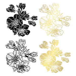 装饰樱花花设计元素。 可用于卡片邀请横幅海报印刷设计。 金色花朵
