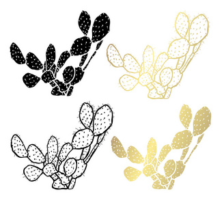 装饰性仙人掌植物设计元素。 可用于卡片邀请横幅海报印刷设计。 黄金肉质