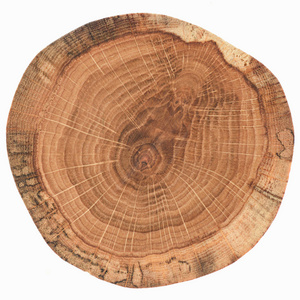 圆形橡木木板,年轮纹理隔离白色背景照片