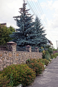 沿街的棕色栅栏和绿色装饰树