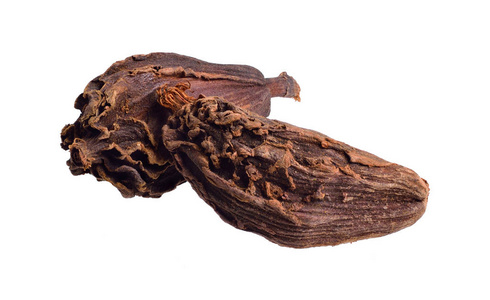 人体美媚馆蔻蔻黑色豆蔻,也被称为希尔豆蔻,孟加拉豆蔻,大豆蔻,印度