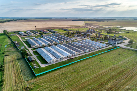 畜禽养殖场, 养猪场.鸟瞰照片