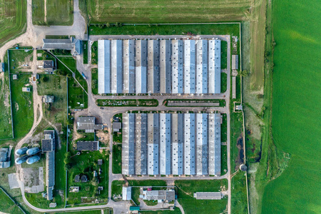 养殖场猪畜禽养殖场, 养猪场.鸟瞰照片